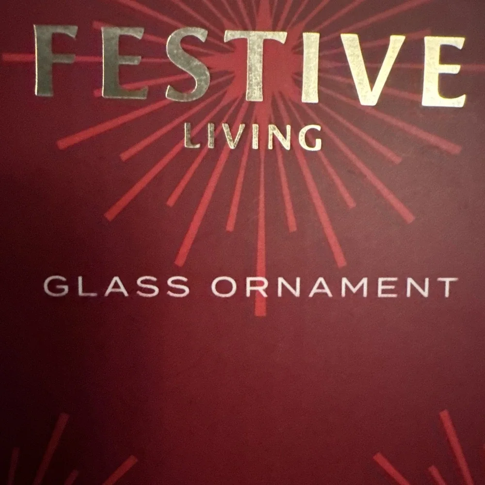 NEW Festive Living Glass CHRISTMAS Ornament Hot Air Balloon Monogram Letter‎ 